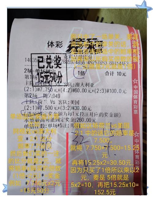 世界杯投注全攻略，轻松赢取奖金